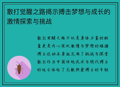 散打觉醒之路揭示搏击梦想与成长的激情探索与挑战